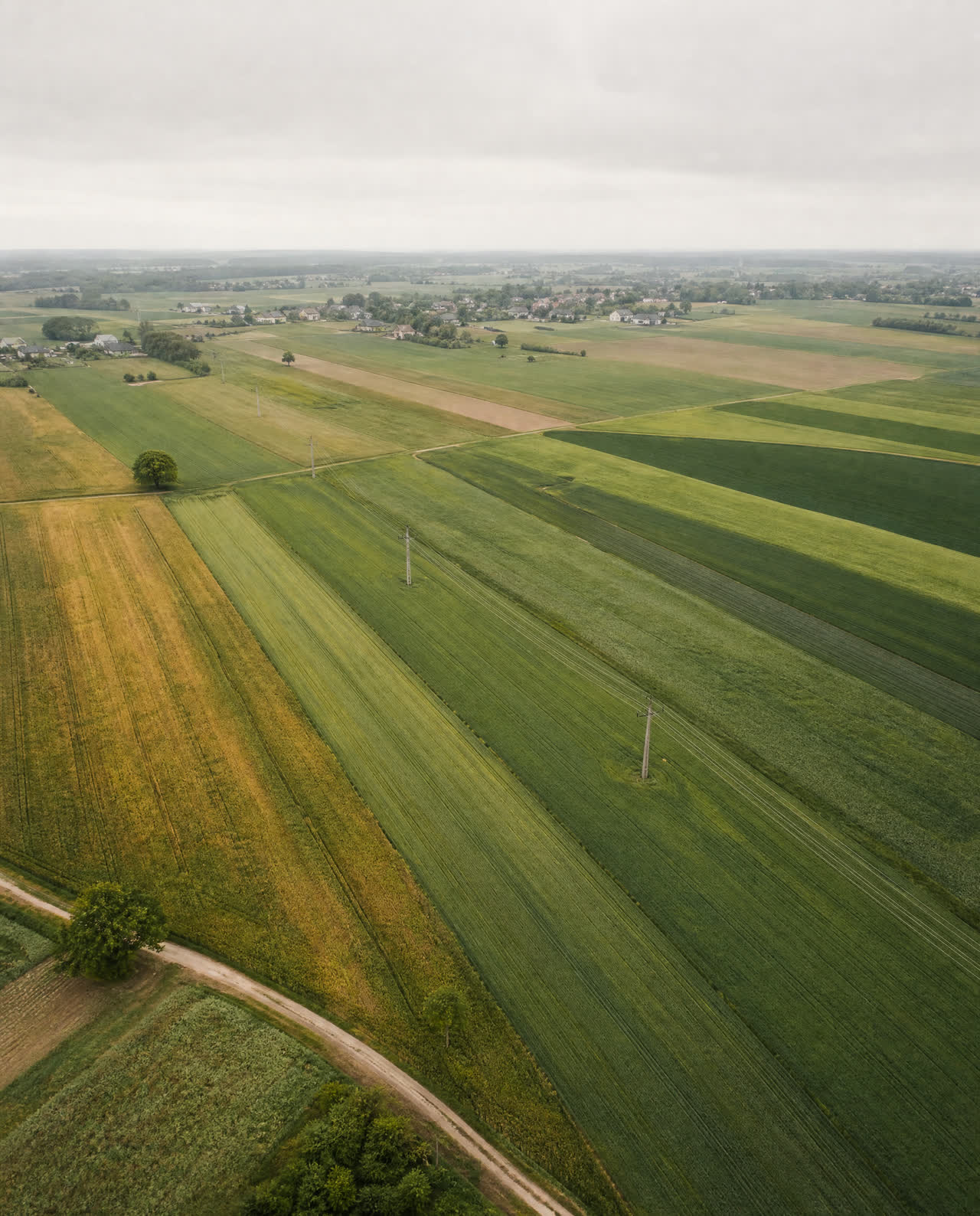 Pola podzielone na wąskie działki, przez które przechodzi linia energetyczna na słupach